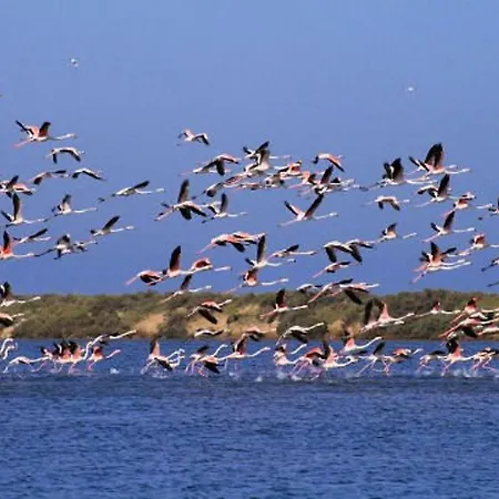 Duplex Lumineux Pres Plages - Terrasse & Clim - Parking Inclus - Fr-1-307-285