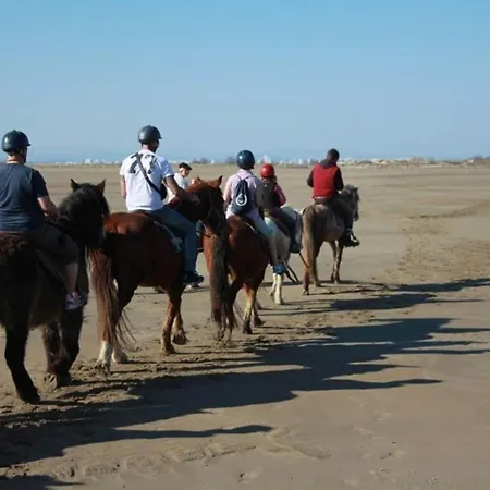 Duplex Lumineux Pres Plages - Terrasse & Clim - Parking Inclus - Fr-1-307-285 * 勒格罗-迪鲁瓦