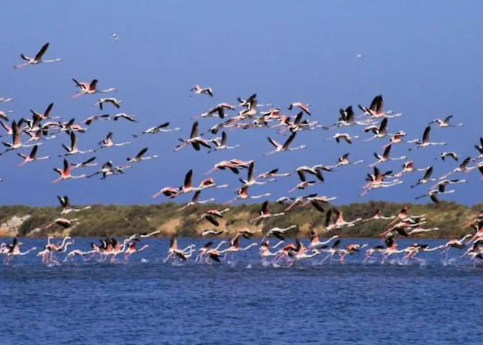 Duplex Lumineux Pres Plages - Terrasse & Clim - Parking Inclus - Fr-1-307-285