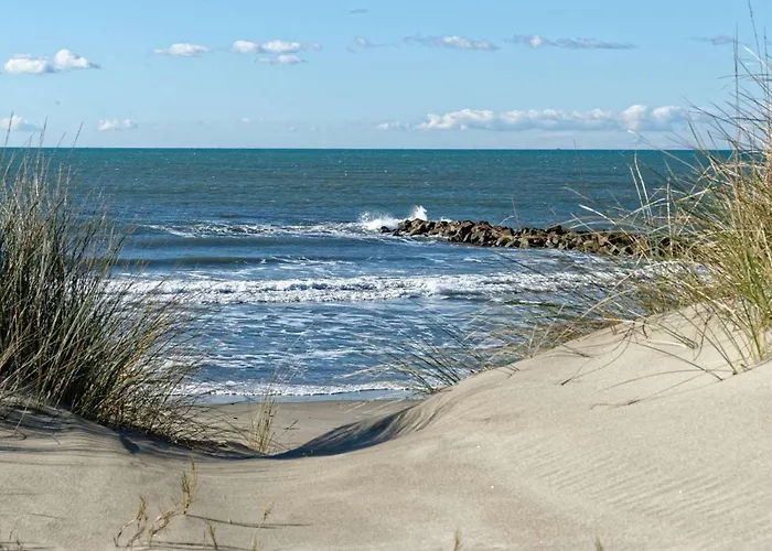 Διαμέρισμα Duplex Lumineux Pres Plages - Terrasse & Clim - Parking Inclus - Fr-1-307-285 Le Grau-du-Roi